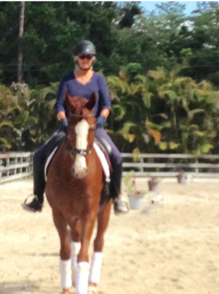 Yoga Unfettered Yogic Horseman Clinics
