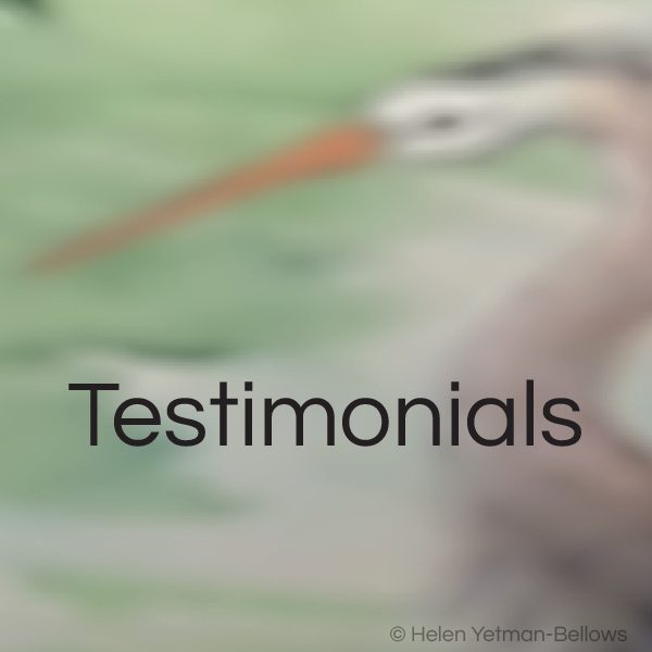 Testimonials
